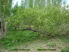 bahar_R_Mudi (2)_resize.JPG